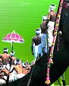 Onam Festival